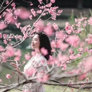 广州旅游 缩略图 14