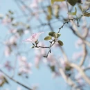 广州旅游 缩略图 7