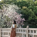 广州旅游 缩略图 8