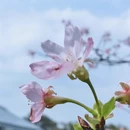 广州旅游 缩略图 6
