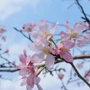 广州旅游 缩略图 5
