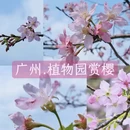 广州旅游 缩略图 1
