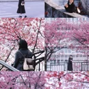 大理州旅游 缩略图 1