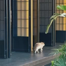大理州旅游 缩略图 6