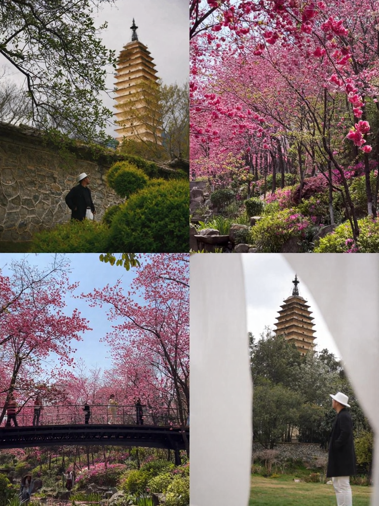 大理州旅游