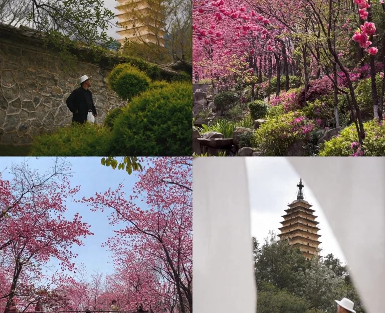大理州旅游 1