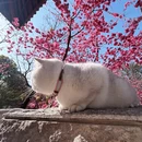 大理州旅游 缩略图 6