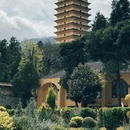 大理州旅游 缩略图 17