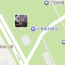 大理州旅游 缩略图 13