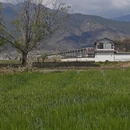 大理州旅游 缩略图 3