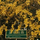 大理州旅游 缩略图 13