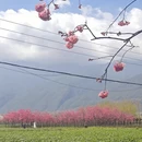 大理州旅游 缩略图 6