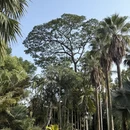 广州旅游 缩略图 1