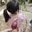 广州旅游 缩略图 4