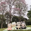 广州旅游 缩略图 15