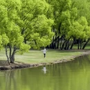 大理州旅游 缩略图 1