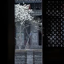 大理州旅游 缩略图 9