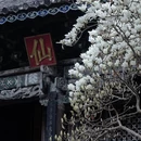 大理州旅游 缩略图 10