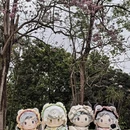 广州旅游 缩略图 16