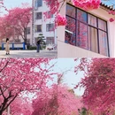 大理州旅游 缩略图 1