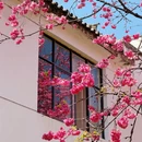 大理州旅游 缩略图 5