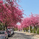 大理州旅游 缩略图 2
