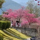 大理州旅游 缩略图 10