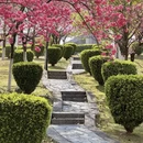 大理州旅游 缩略图 14