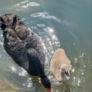 大理州旅游 缩略图 16