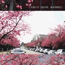 大理州旅游 缩略图 1