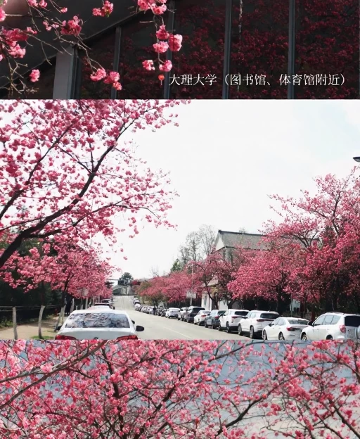 大理州旅游 1