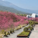 大理州旅游 缩略图 11