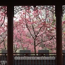 大理州旅游 缩略图 3