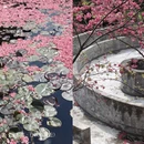 大理州旅游 缩略图 2