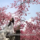 大理州旅游 缩略图 4