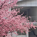 大理州旅游 缩略图 2