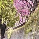 大理州旅游 缩略图 3