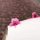 大理州旅游 缩略图 8