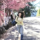 大理州旅游 缩略图 3
