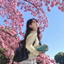 大理州旅游 缩略图 1