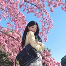 大理州旅游 缩略图 5