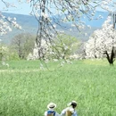 大理州旅游 缩略图 1