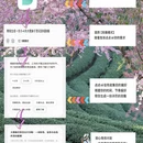 大理州旅游 缩略图 2