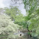 大理州旅游 缩略图 8
