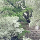 大理州旅游 缩略图 9