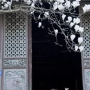 大理州旅游 缩略图 10
