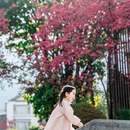 大理州旅游 缩略图 7