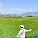 大理州旅游 缩略图 3