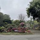 深圳旅游 缩略图 5