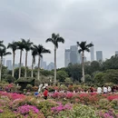 深圳旅游 缩略图 6